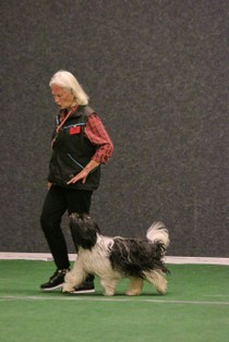 IMG_7353.JPG