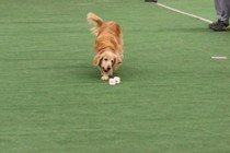 IMG_7376.JPG
