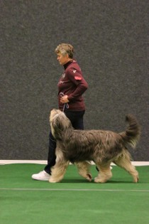 IMG_7382.JPG