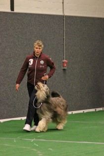 IMG_7384.JPG