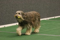 IMG_7392.JPG