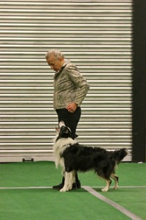 IMG_7413.JPG