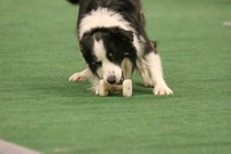 IMG_7416.JPG
