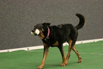 IMG_7427.JPG