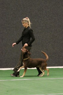 IMG_7430.JPG