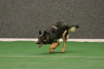 IMG_7451.JPG