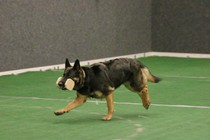 IMG_7456.JPG
