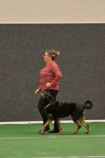 IMG_7472.JPG