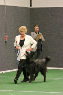 IMG_7480.JPG