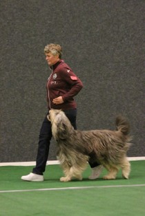 IMG_7486.JPG