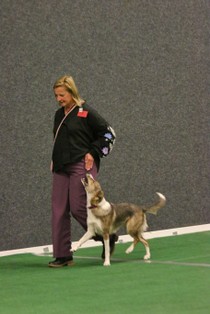 IMG_7504.JPG