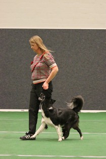 IMG_7516.JPG