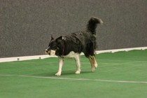 IMG_7528.JPG