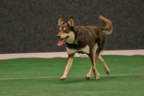 IMG_7543.JPG