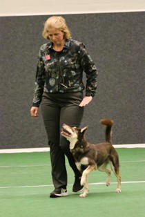 IMG_7548.JPG