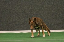 IMG_7556.JPG