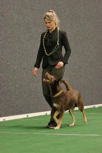 IMG_7565.JPG