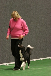 IMG_7604.JPG