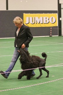 IMG_7630.JPG