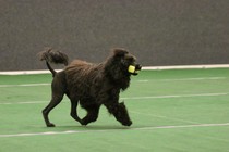 IMG_7633.JPG