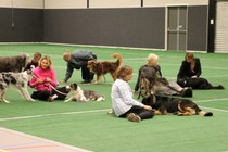 IMG_7653.JPG
