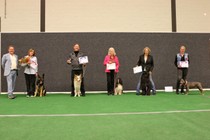 IMG_7681.JPG