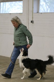 IMG_8531.JPG