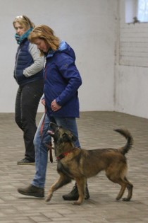 IMG_8540.JPG