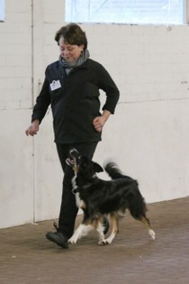IMG_8585.JPG