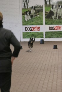 IMG_8595.JPG