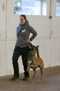 IMG_8637.JPG