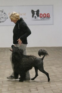 IMG_8675.JPG