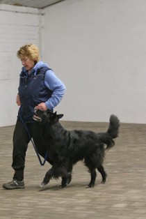 IMG_8694.JPG