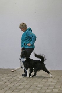 IMG_8782.JPG