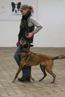 IMG_8802.JPG