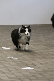 IMG_8839.JPG