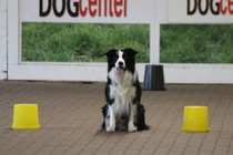 IMG_8842.JPG