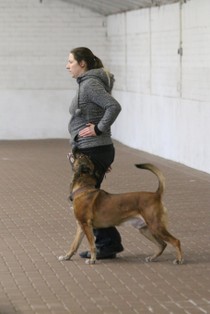 IMG_8864.JPG