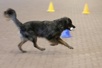 IMG_8885.JPG