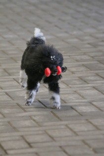 IMG_8905.JPG