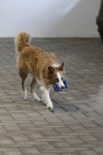 IMG_8916.JPG