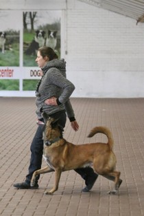 IMG_9039.JPG