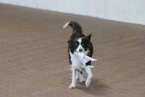 IMG_9059.JPG