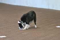 IMG_9061.JPG