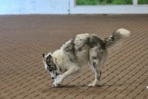 IMG_9077.JPG