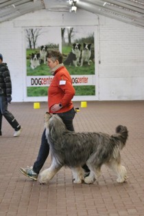 IMG_9121.JPG