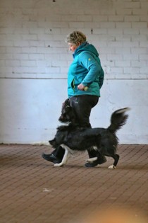 IMG_9164.JPG